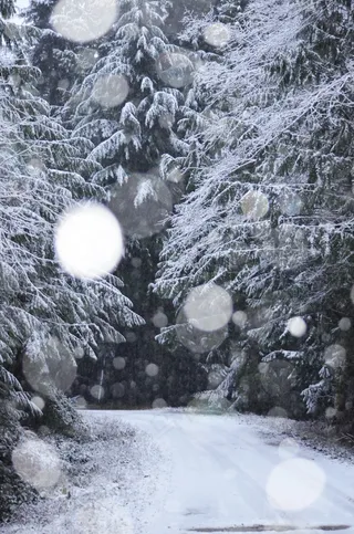 下雪很美的夜图片