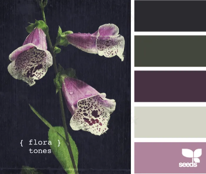 冬天系配色色卡色彩搭配