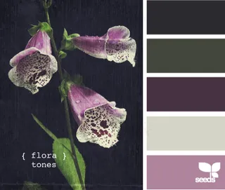 冬天系配色色卡色彩搭配