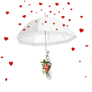 雨伞爱心情人节