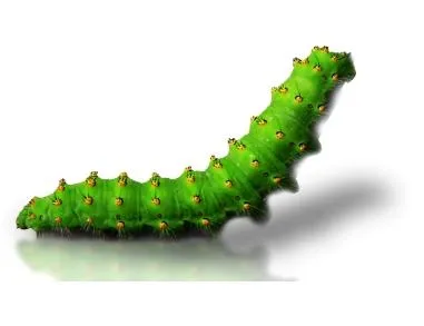 卡特彼勒 PNG免抠(381x293)