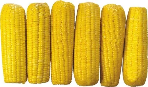 玉米免抠(3446x2021)