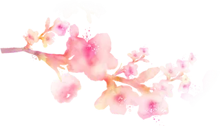 粉色简约风手绘鲜花花朵水墨画PNG素材图片 (47)