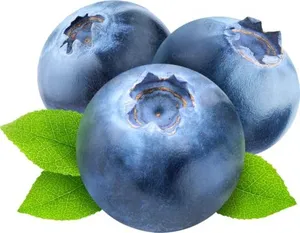蓝莓 PNG免抠