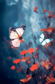 红花蝴蝶质感背景