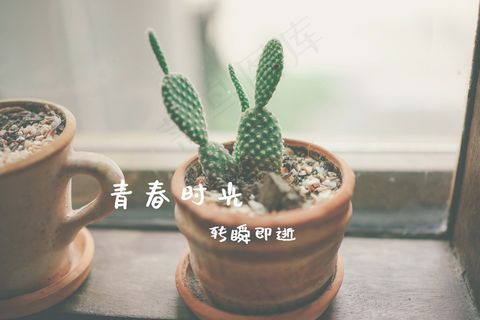 关于青春的文字说说图片 关于青春的文字说说图片