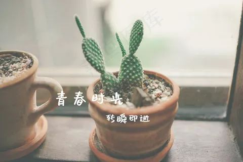 关于青春的文字说说图片 关于青春的文字说说图片
