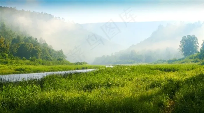 湖畔草地树林美景图片