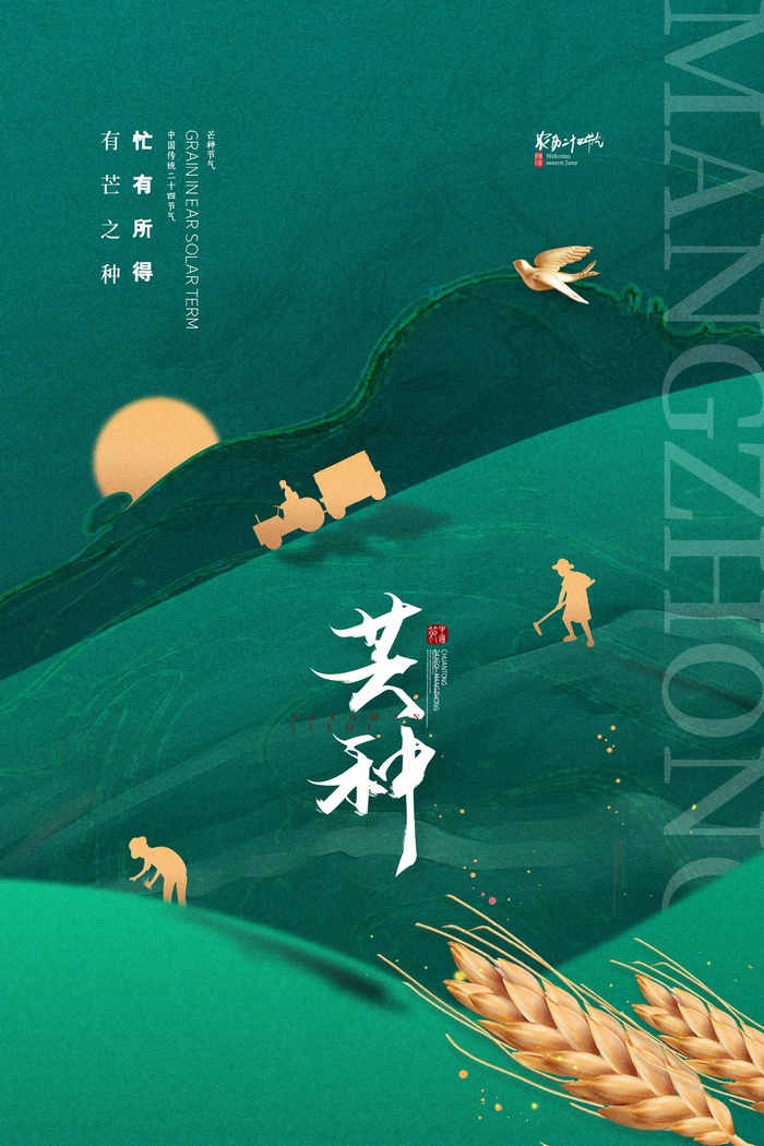 芒种 芒种海报psd模版下载