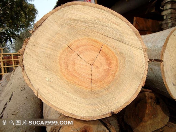 带着年轮的木头