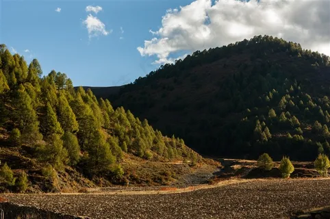 稻城傍河乡山林风光 稻城傍河乡山林风光