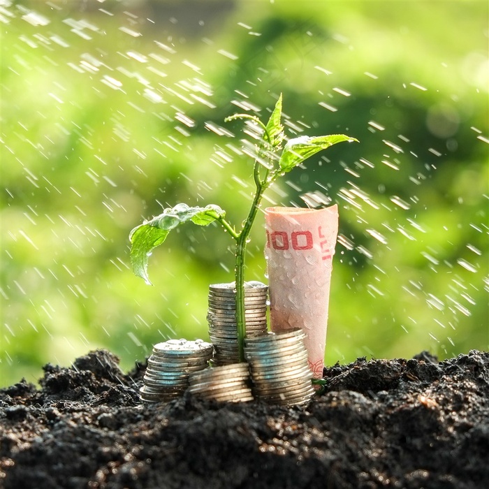 创意硬币与幼苗高清图