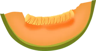 哈密瓜免抠素材 (16)