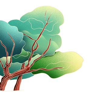 国潮风松树松枝松柏树木手绘植物装饰图案元素PSD设计素材