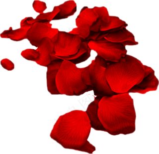 花瓣花朵免扣图片 