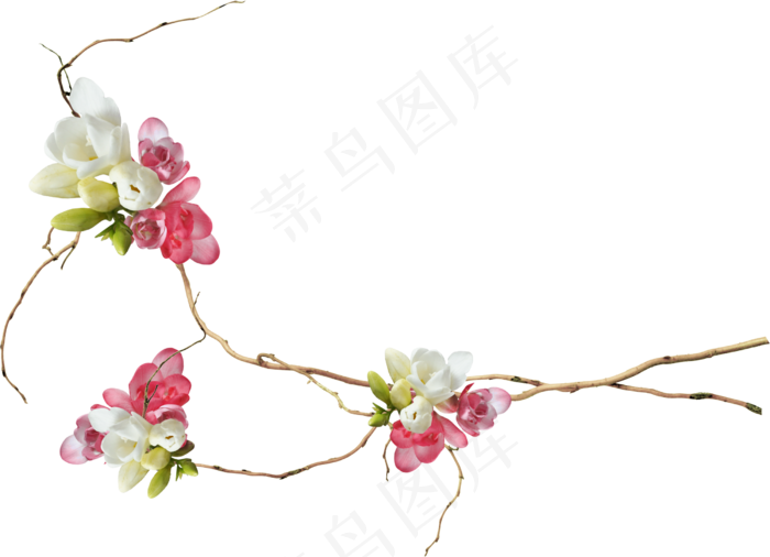 干花朵　　
