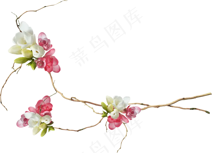 干花朵　　