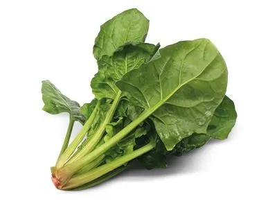 菠菜免抠(400x300)