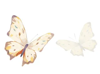 蝴蝶插画黄色元素