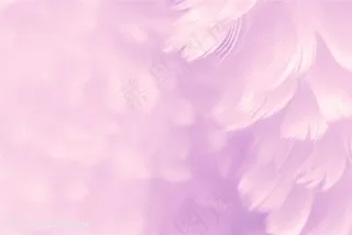 清新羽毛背景高清图片