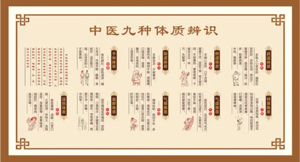 中医九种体质辨识展厅展馆文化墙