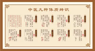 中医九种体质辨识展厅展馆文化墙