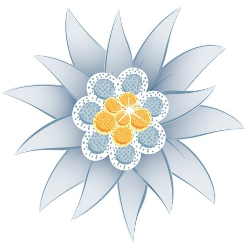 雪绒花 PNG免抠(800x800)
