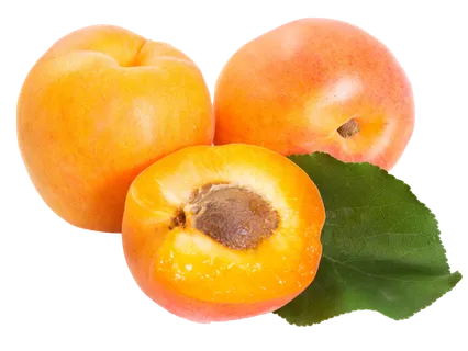 黄杏 (3)水果超市商品白底图免抠实物摄影png格式图片透明底