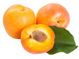 黄杏 (3)水果超市商品白底图免抠实物摄影png格式图片透明底