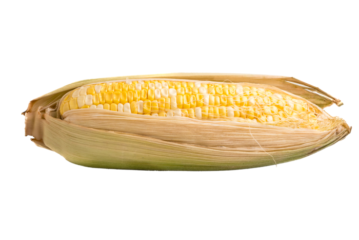 玉米 (9)超市商品白底图免抠实物摄影png格式图片透明底