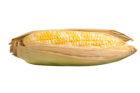 玉米 (9)超市商品白底图免抠实物摄影png格式图片透明底
