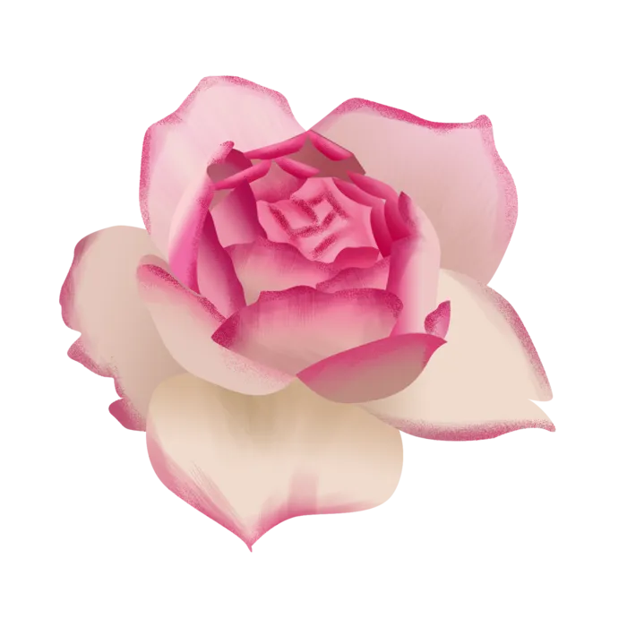 鲜花玫瑰免扣素材