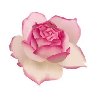 鲜花玫瑰免扣素材