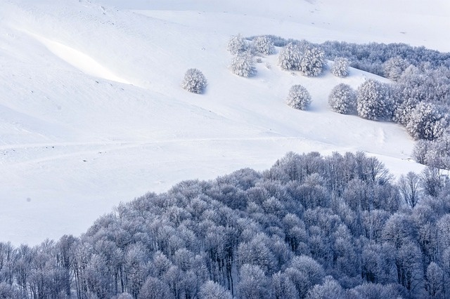 冬天白雪背景风景