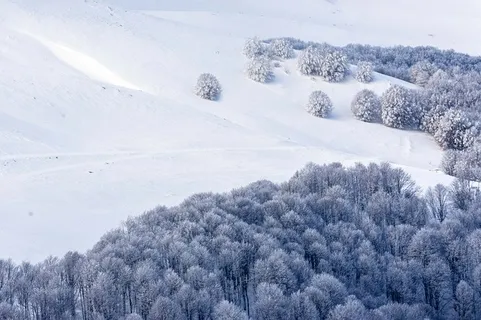 冬天白雪背景风景 冬天白雪背景风景