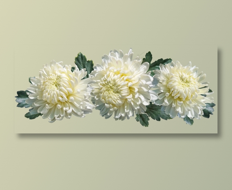 菊花, 花朵, 安排, 装饰, 母亲