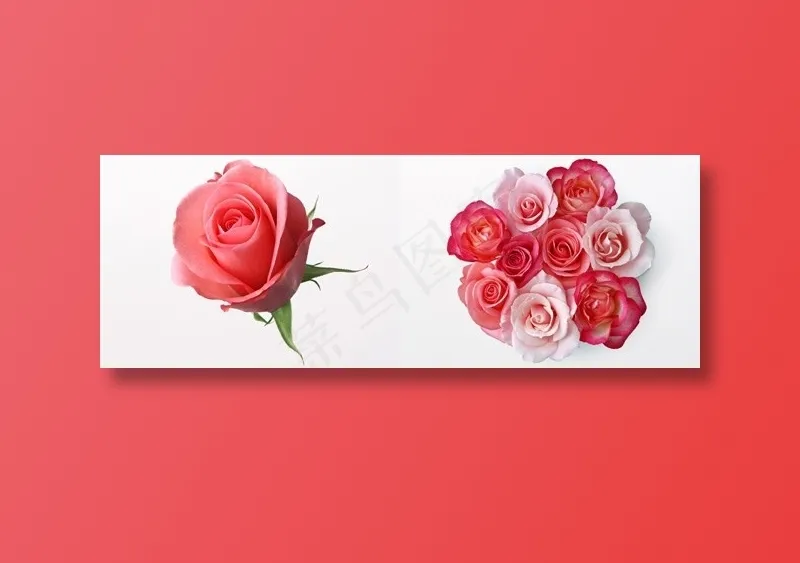 唯美的鲜花图片