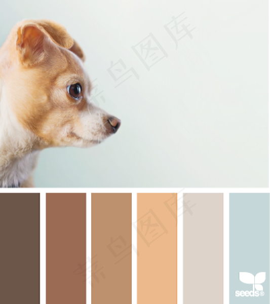 动物配色色卡色彩搭配