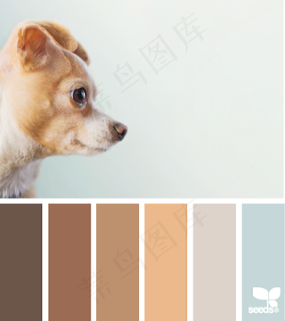 动物配色色卡色彩搭配