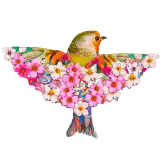 小鸟的彩色手绘