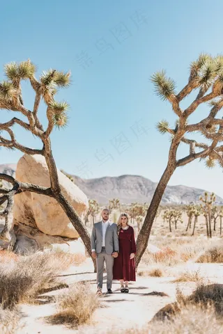 热带雨林风情侣图片