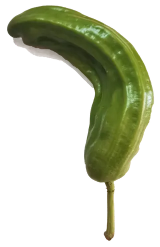 单个新鲜海椒农家有机田园青椒螺丝椒线椒菜椒辣椒免抠元素实物摄影素材