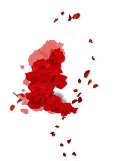 玫瑰花情人节 玫瑰花情人节
