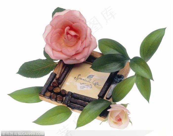 花饰小品-相框上的粉色玫瑰