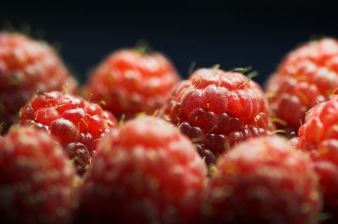 高清树莓图片下载