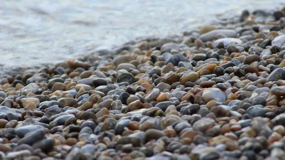 海边鹅卵石图片 海边鹅卵石图片