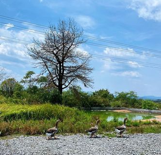 在这么优美的环境生活还是挺幸福的
