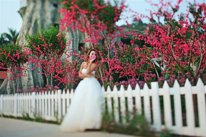 浪漫恋人婚纱公园外拍高清摄影