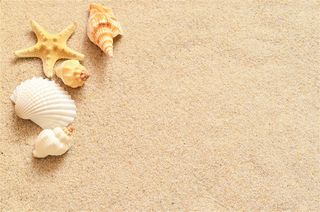 美丽的沙滩风景高清素材图片