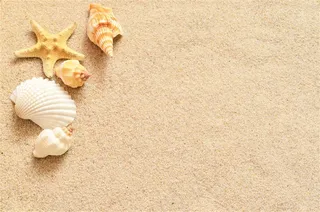 美丽的沙滩风景高清素材图片